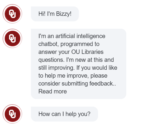An example of the Bizzy chatbot interface