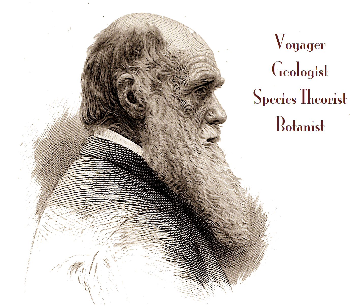 Image of Darwin from Exhibition brochure