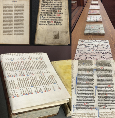 Photo of example of manuscript materials (binding covers, Bible leaf)